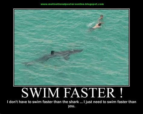 Funny Shark Quotes. QuotesGram