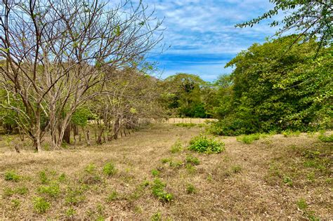 Vistas De Flamingo Lot Large Forested Plot Of Land Minutes From