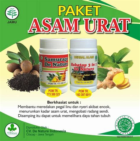 Obat Untuk Asam Urat Tinggi Info Kesehatan