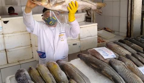 Novo Mercado De Peixes Pode Ser Inaugurado Em Julho