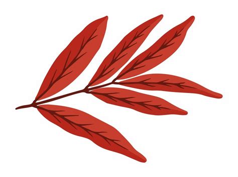 premium vector autumn falling leaves hand drawn autumn leaf illustration