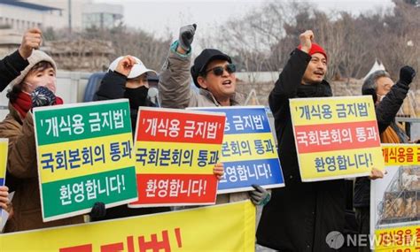 개식용 금지법 본회의 통과 환영 기자회견 네이트 뉴스