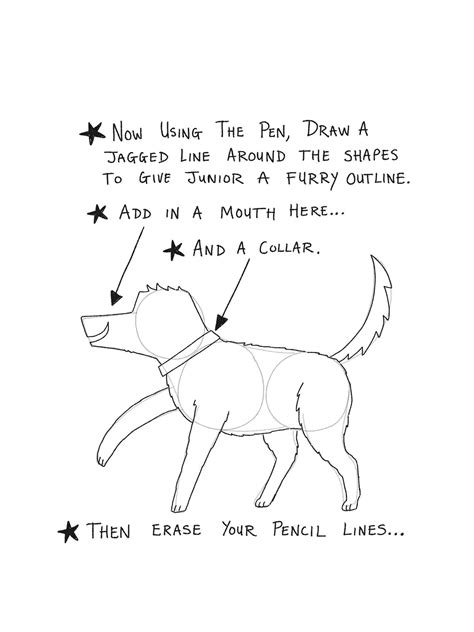 how to draw a german shepherd puppy 5
