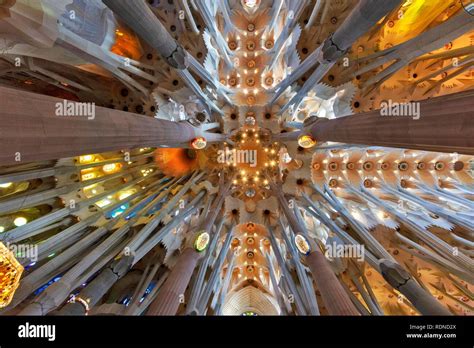 Interior View Ceiling Vault Sagrada Familia By Antoni Gaudi Barcelona