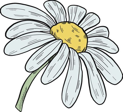 Daisies Clip Art Images Browse 17 757 Stock Photos Vectors And