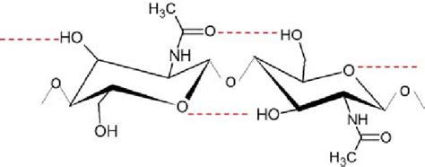 Chitin Schematic Of Structure And Hydrogen Bonding Dashed Lines