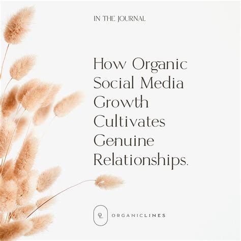 Planting The Seeds Of Connection How Organic Social Media Growth