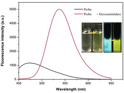 Fluorescence Spectral Changes Of Probe M With Inclusion