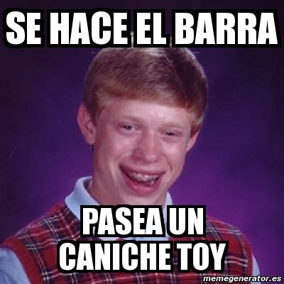 Meme Bad Luck Brian Se Hace El Barra Pasea Un Caniche Toy