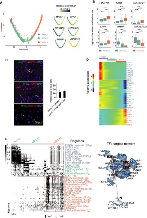 Single‐cell Transcriptome Profiling Reveals Molecular Heterogeneity In