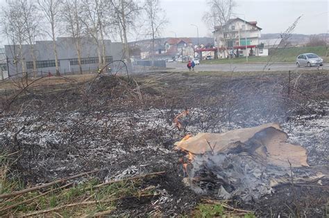 Apel Mup Gra Anima Da Ne Spaljuju Nisko Rastinje Veoma Lako Mo E Do I