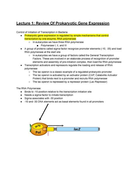 MCB 2050 Notes Lecture 1 Review Of Prokaryotic Gene Expression