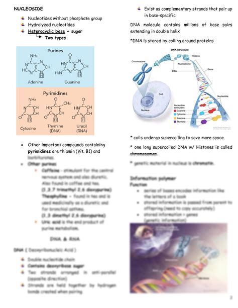 Solution Nucleic Acid Studypool