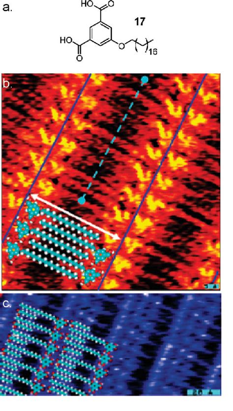 Supramolecular Polymerizations And Main Chain Supramolecular Polymers