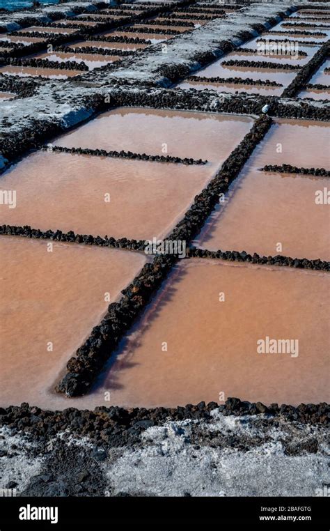 Salt Basin For The Extraction Of Flor De Sal Hi Res Stock Photography