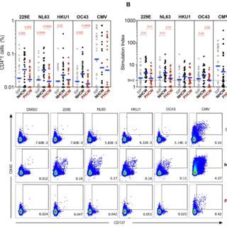 Reactivity Of Cd T Cells Against Ccc Epitopes In An Independent