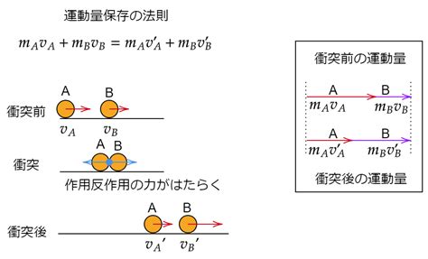 1 7運動量と力積 受験の物理屋さん