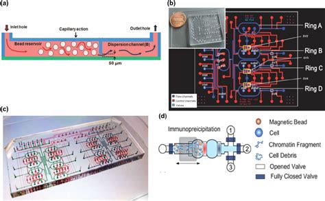 Micronanofluidic Technologies For Chip Assays A Schematic Of A Download Scientific Diagram