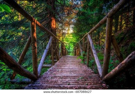 Bridges Paths Vitosha National Park Sofia Stock Photo 687088627