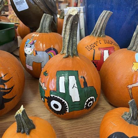 Pie Painted Pumpkins Pahl S Market Apple Valley Mn