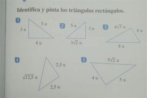 Debo identificar cuales son triángulos rectángulos. Ayuda - Brainly.lat