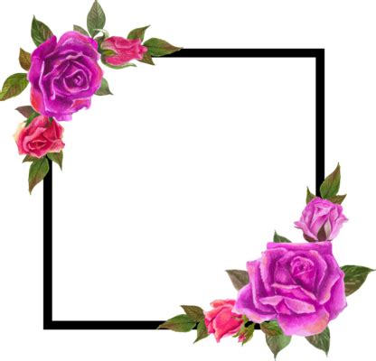 Rose Border PNGs for Free Download