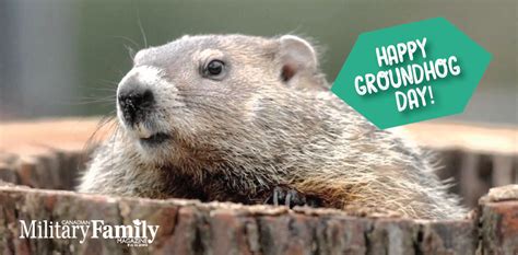 Canadian Groundhogs weather predictions differ - Canadian Military ...