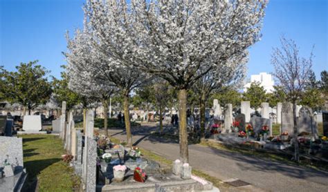 Cimeti Res Et Concessions Ville De V Nissieux