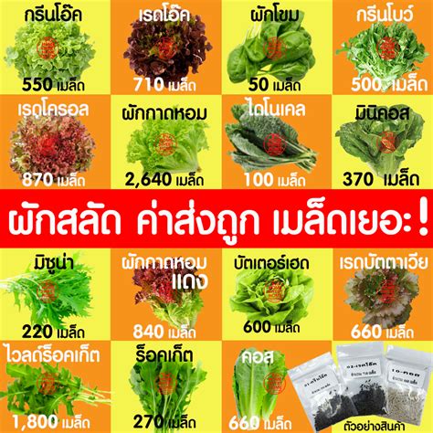 Đặt mua * Chi phí vận chuyển là đúng * Salad rau, hạt rau, hạt rau ...