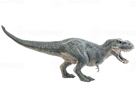 Tiranosaurio T Rex Dinosaurio Sobre Fondo Blanco Png