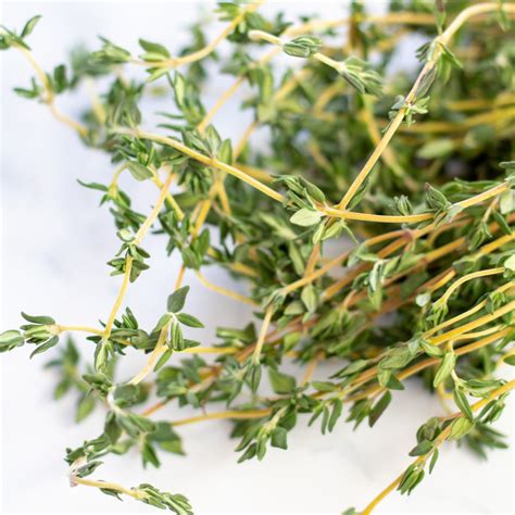 Best Thyme Substitute (13 Amazingly Easy To Use Alternatives!)