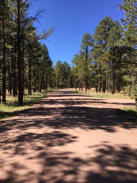 Rolfe C Hoyer Campground Apache Sitgreaves National Forest Greer