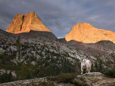 The Wild Heart Of The San Juans Colorado August 2012 Trip Reports