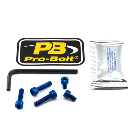 PRO BOLT TYA398B Scr Kit Fuel Cap Bl Yamaha Yzf R6 600 2011 EUR 14 92