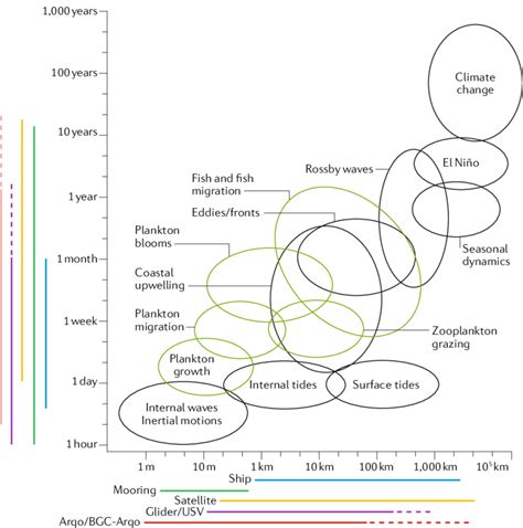 Measuring Across Spatiotemporal Scales In Marine Systems Spatial And