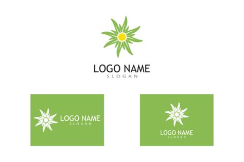 Edelweiss Logo Vector Design Graphic by Redgraphic · Creative Fabrica