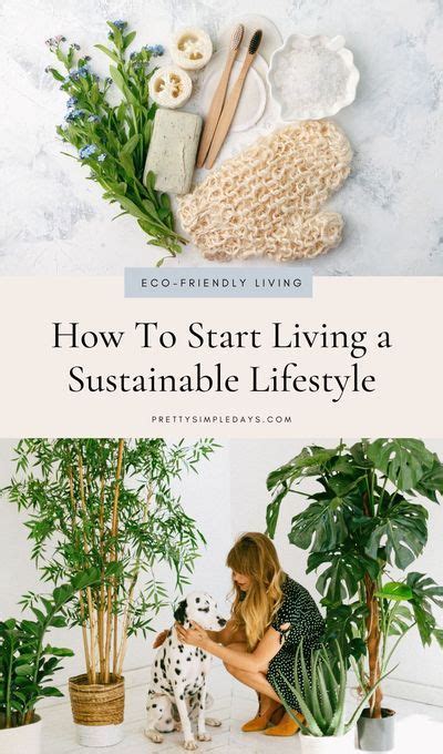 Sustainable Living For Beginners Pretty Simple Days Eco Friendly