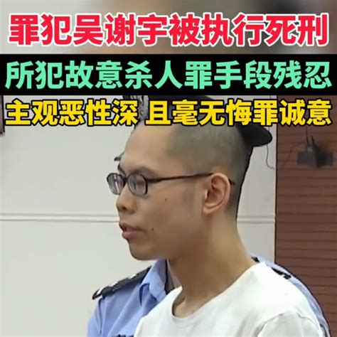 尘埃落定弑母案吴谢宇被执行死刑临刑前细节曝光无颜见亲属 死刑 吴谢宇 弑母 新浪新闻