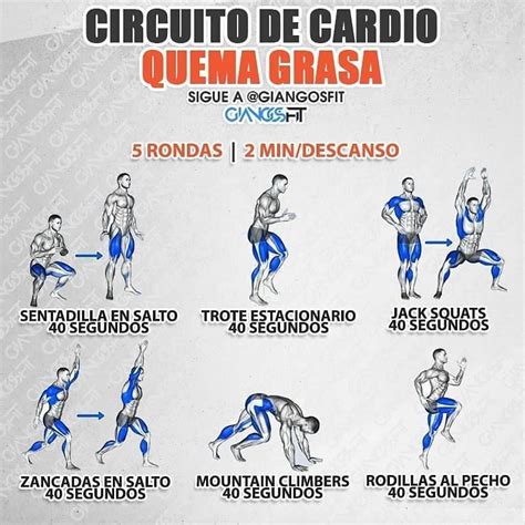 NUTRICION EJERCICIO SALUD On Instagram GUARDA ESTE CIRCUITO Y POR