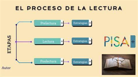 El Proceso De La Lectura