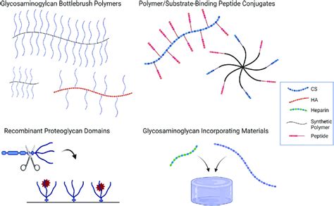 Biomimetic Strategies To Recapitulate Proteoglycan Function Created