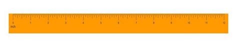 12 Inch Ruler Vector Art, Icons, and Graphics for Free Download