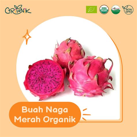 Jual Buah Naga Organik 500 Gram Ceritanik Dragon Fruit Organic