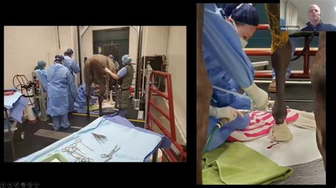 Using Ct In Equine Standing Surgery Youtube