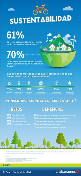 Infografía Sustentabilidad Pdf