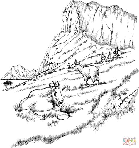 Two Mountain Goats coloring page | SuperColoring.com