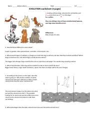 Evolution Worksheet 1 Docx Name Rebecca Berry Date Pd