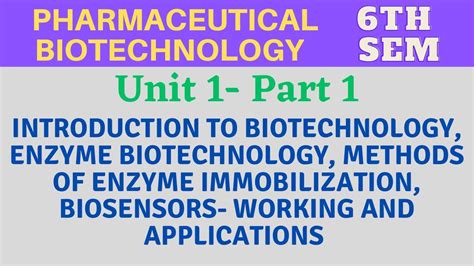 Enzyme Biotechnology Methods Of Enzyme Immobilization And Applications