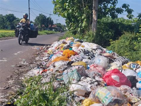 Timbulkan Bau Menyengat Tumpukan Sampah Di Pinggir Jalan Kabupaten Di