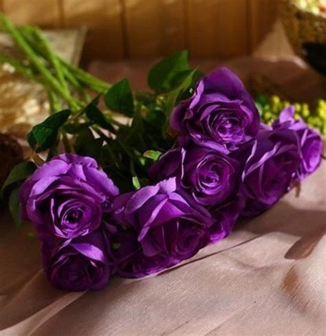 صباحكم ورد بنفسجي💜 Rose Flower Pictures Beautiful Rose Flowers